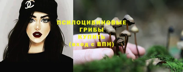 2c-b Снежинск