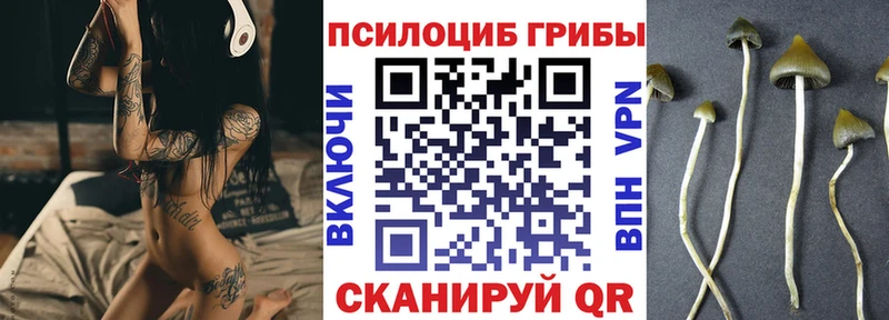 сколько стоит  Козельск  гидра ССЫЛКА  Галлюциногенные грибы GOLDEN TEACHER 